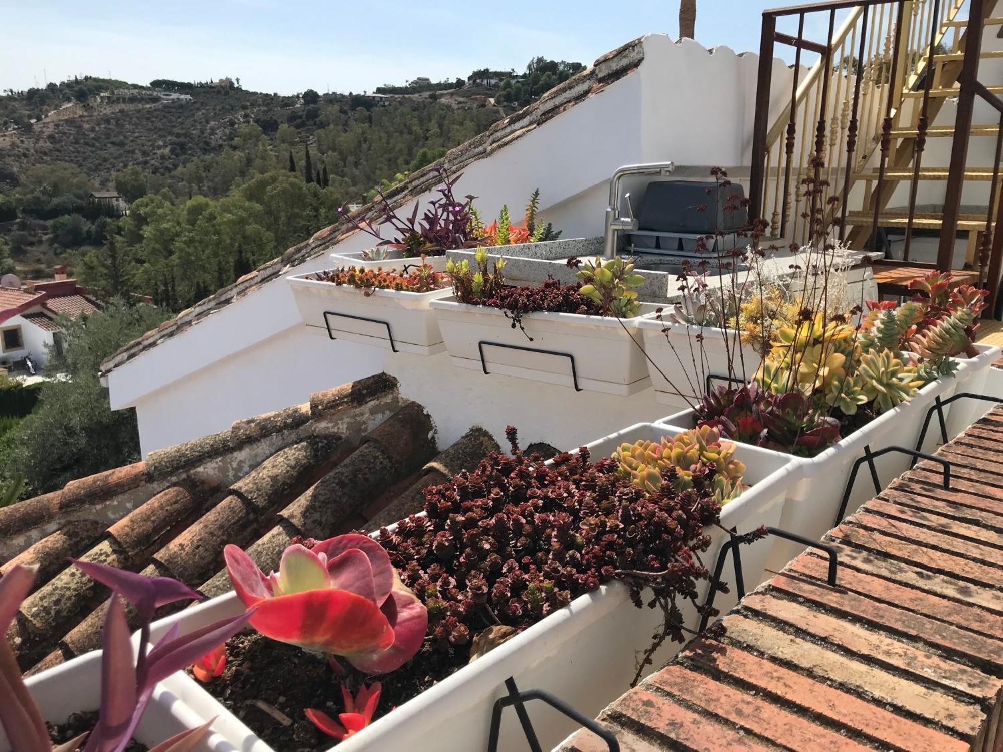 Studio Views Apartment, Cortijo Fruitful Hills Málaga Exterior foto